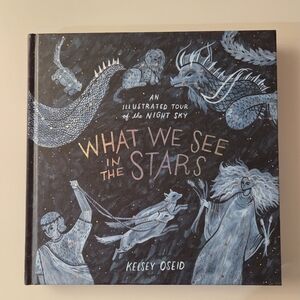 What We See In The Stars By Kelsey Oseid Illustrated Tour Of The Night Sky Book